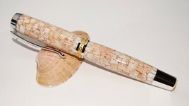 Bash 2013 Shell_800x448.JPG