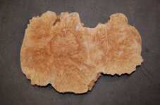burl wood 2.jpg