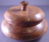 640Taylor_liveoak_box.jpg