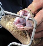 2013-04-13 00.32.49.jpg