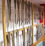 2013-04-13 01.36.35.jpg