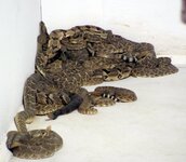 2013-04-13 02.42.08.jpg