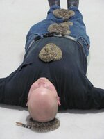 2013-04-13 02.47.20.jpg