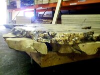 Buckeye Burl 2.jpg