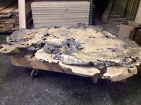 Buckeye Burl 3.jpg