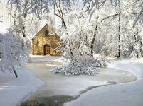 IMG_0736 web1.jpg