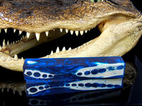 Tom Barron Gator Biloxi Blues Large.jpg