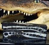 Tom Barron Gator Black Magic Large.jpg