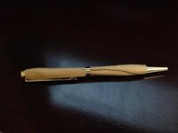 Pen1.jpg