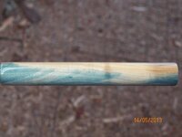 007 (2).JPG 007 (2).JPG