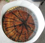 resin bowl 008.jpg