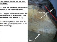 Spalted maple from IAP-2.jpg