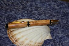 pens3 021.jpg