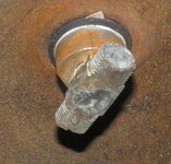 closeup.jpg
