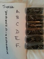 20130611_074858.jpg