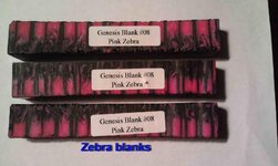 Zebra bblanks.jpg