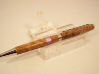 100_4913 (640x480).jpg