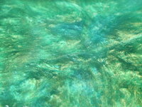 IMG_5726_2resize.JPG