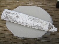 IMG_3647.jpg
