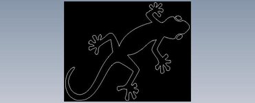 gecko1.jpg