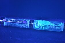 Blacklight scorpion.jpg
