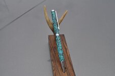 DSC_6195.jpg
