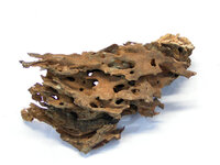 Cherry-Root02.jpg