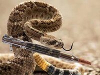 Snakeskin Bolt.jpg