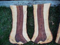 Cutting & loading the Almond trunks 037_(1).jpg