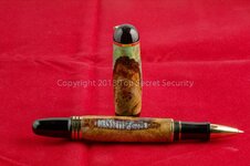 pen 2.jpg