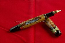 pen 3.jpg
