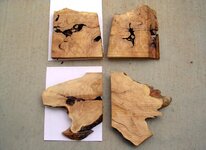 Juniper Root Slabs1b.jpg