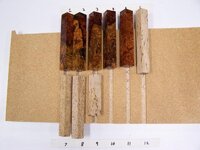 100_9826.jpg