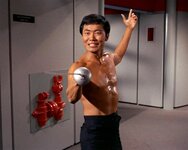 Sulu_Fencing.jpg