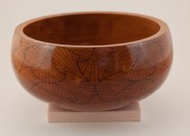 Red Elm ZIA Bowl 01.jpg