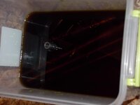 DSCN1338.jpg