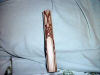 DSCF2506.jpg