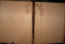 IMG_0497.JPG