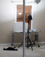 bounce-light.jpg