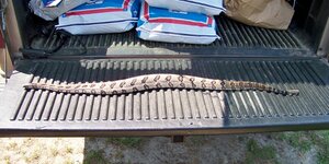 100_2358 (700x350).jpg