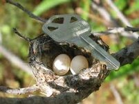 hummer nest with key.jpeg