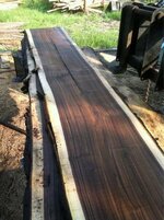 walnut45.jpg