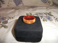 DSCF2549.jpg