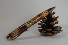 pincone3.jpg
