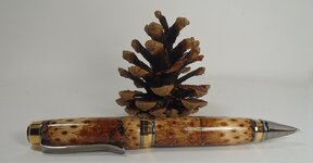 pinecone.jpg