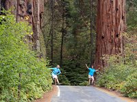 Sequoia_TreesAndLadies.jpg