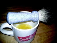 brush4.jpg
