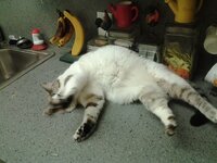 IMG_20131007_204732.jpg