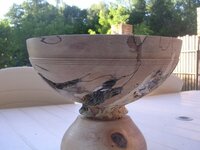 coupe loupe de hêtre échauffé3.jpg