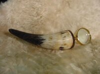 cow horn.jpg